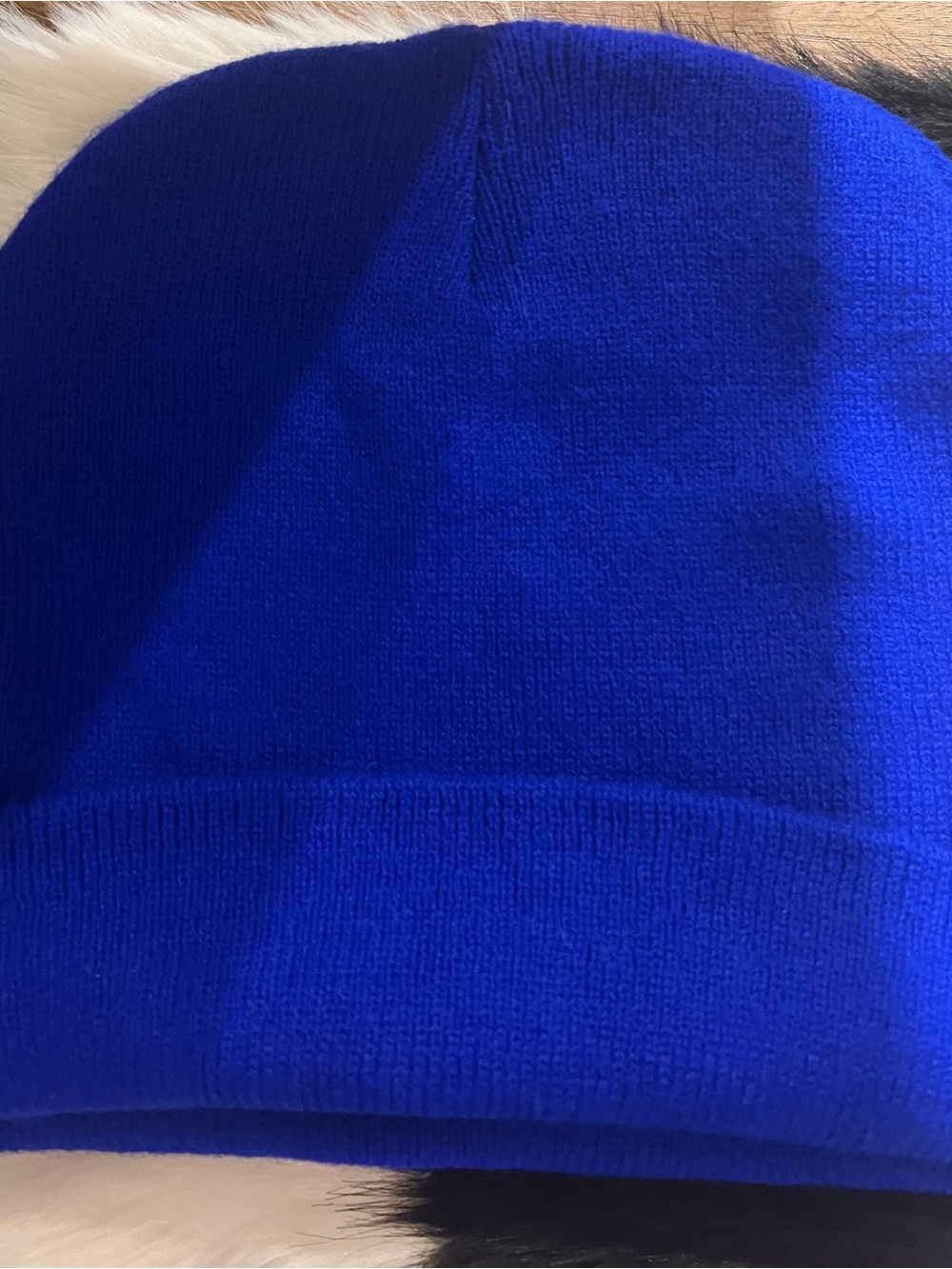 Men's Classic Ribbed Beanie - Bold Royal Blue
